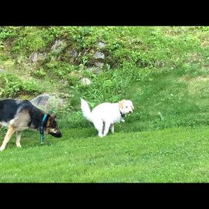 Meet your Posher, Shelly